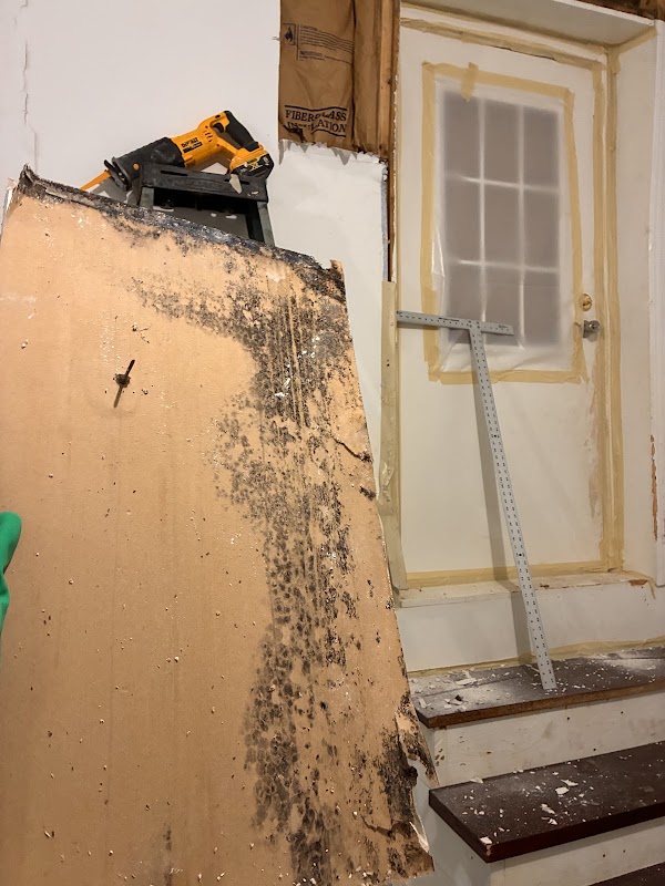 Mold Commander photo 1